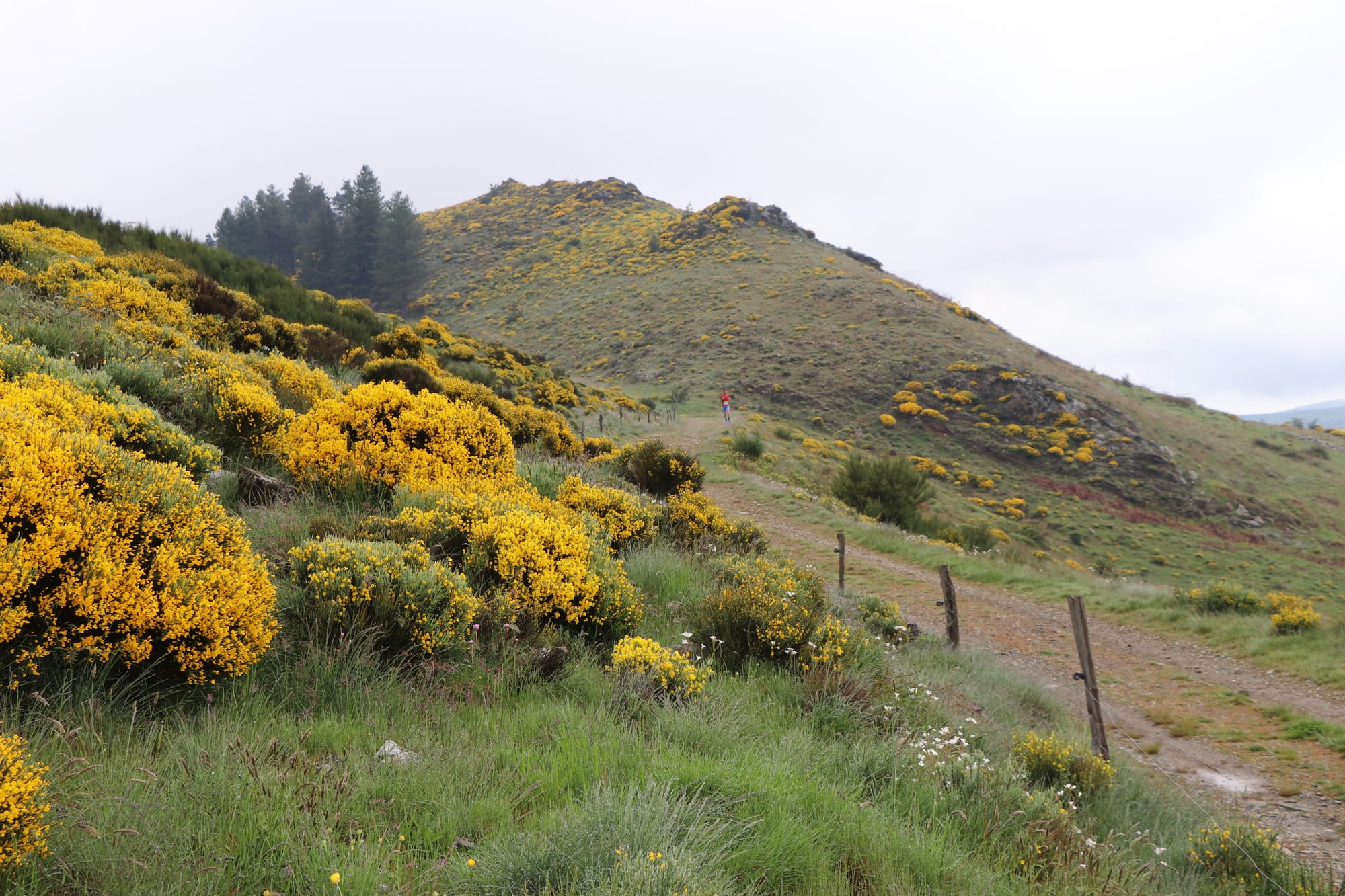 5ème édition de la Ronde du Pont de l'Ayrette