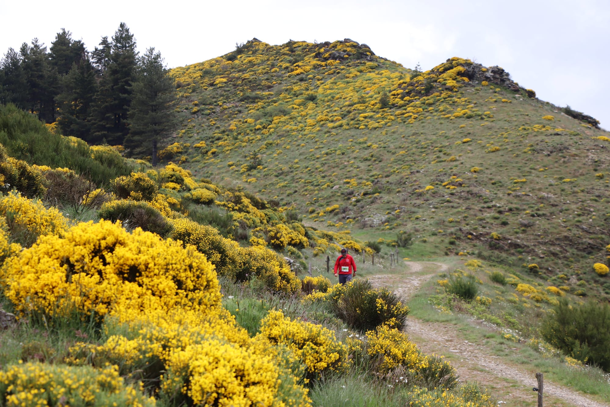 5ème édition de la Ronde du Pont de l'Ayrette