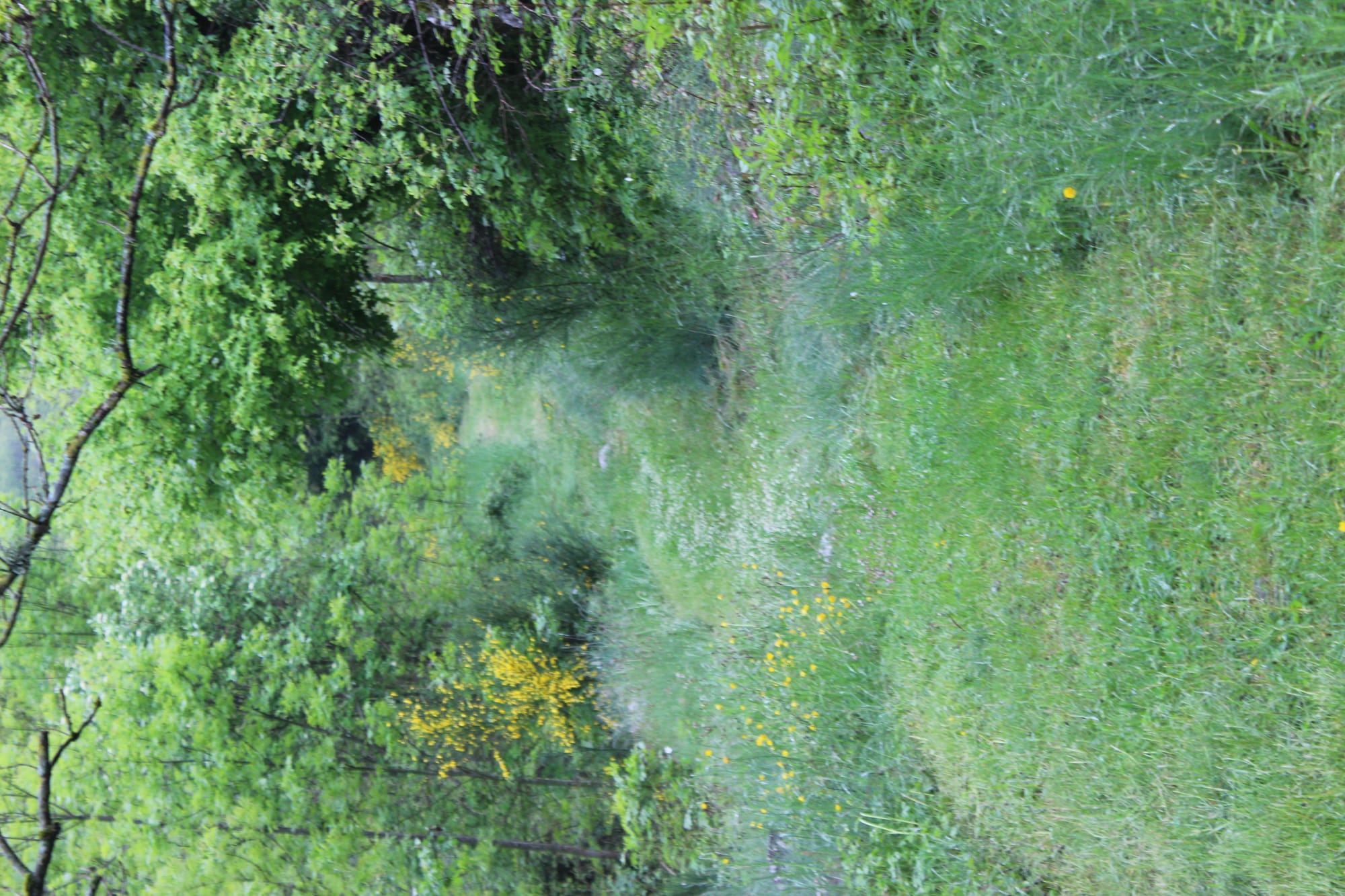 5ème édition de la Ronde du Pont de l'Ayrette