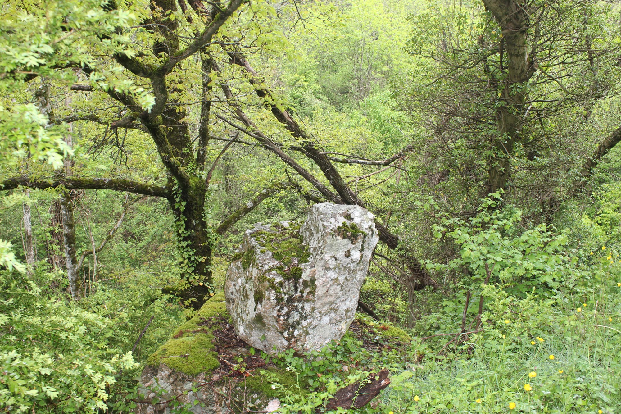 5ème édition de la Ronde du Pont de l'Ayrette