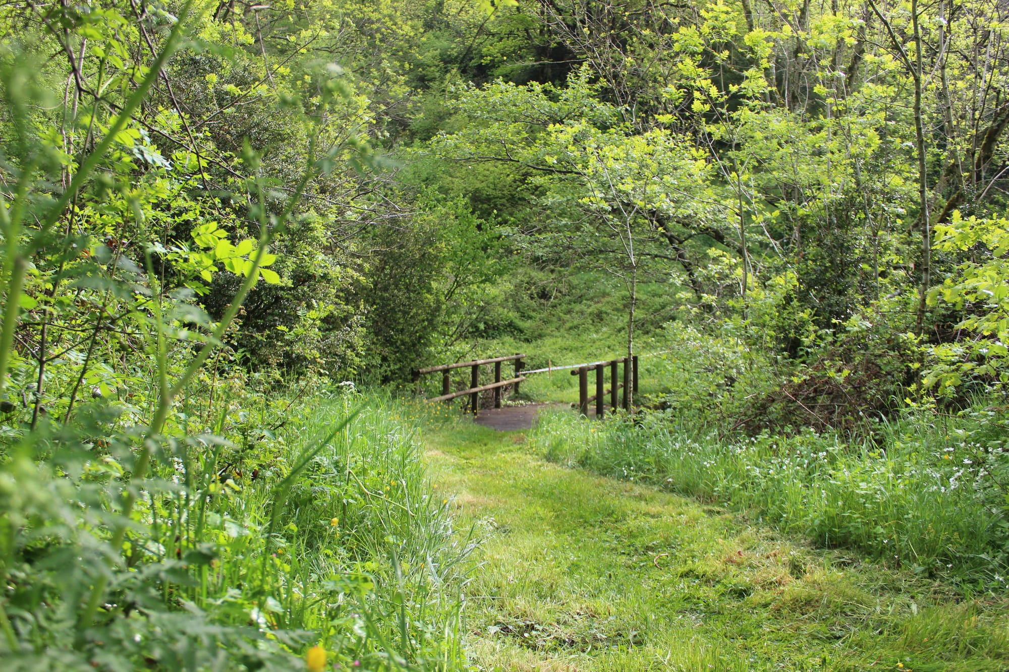 5ème édition de la Ronde du Pont de l'Ayrette
