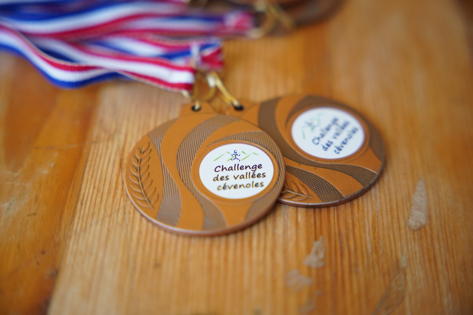 27ème édition des Sentiers de la Fraise 