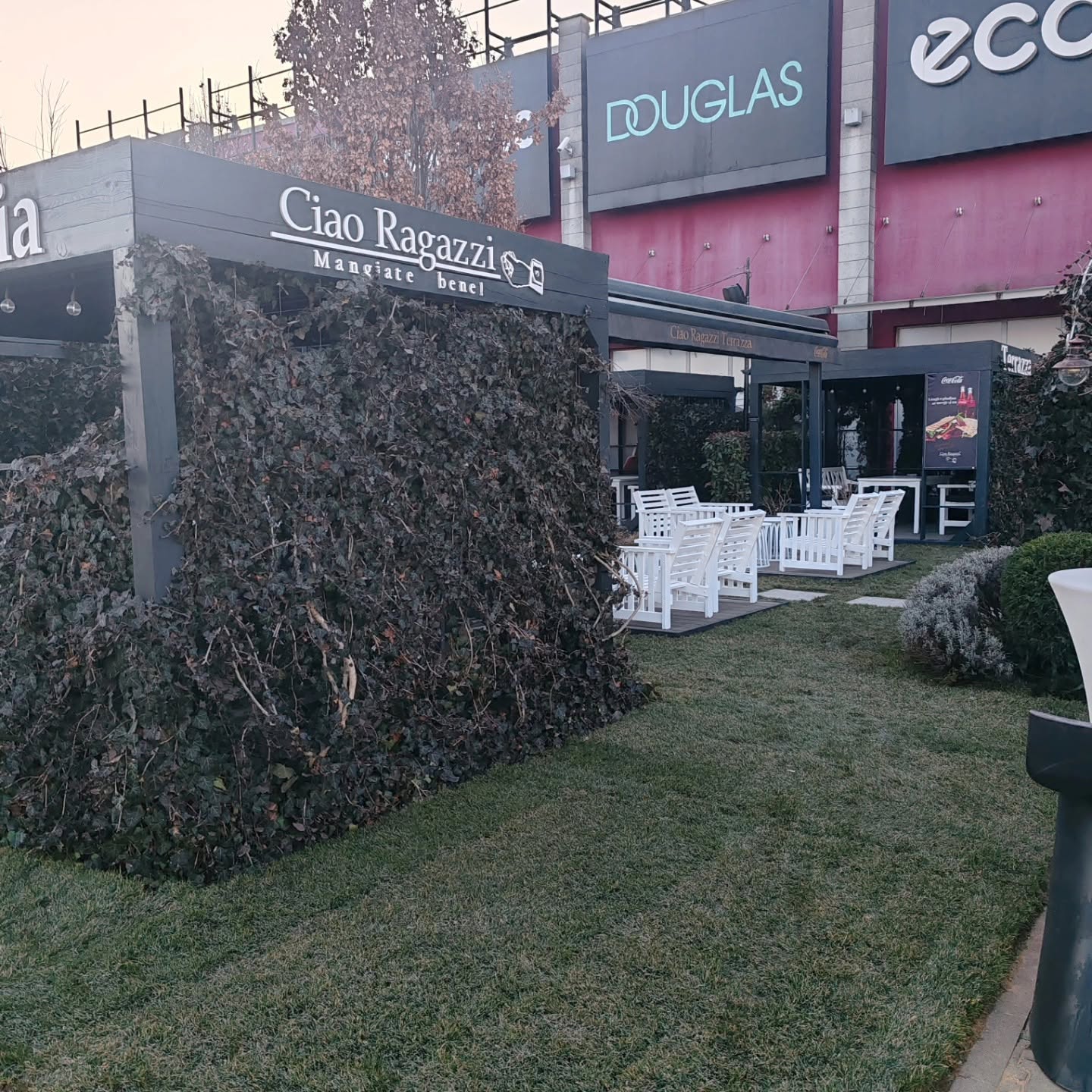Reamenajare spatiu verde si sistematizare terasa Vivo Mall Cluj-Napoca