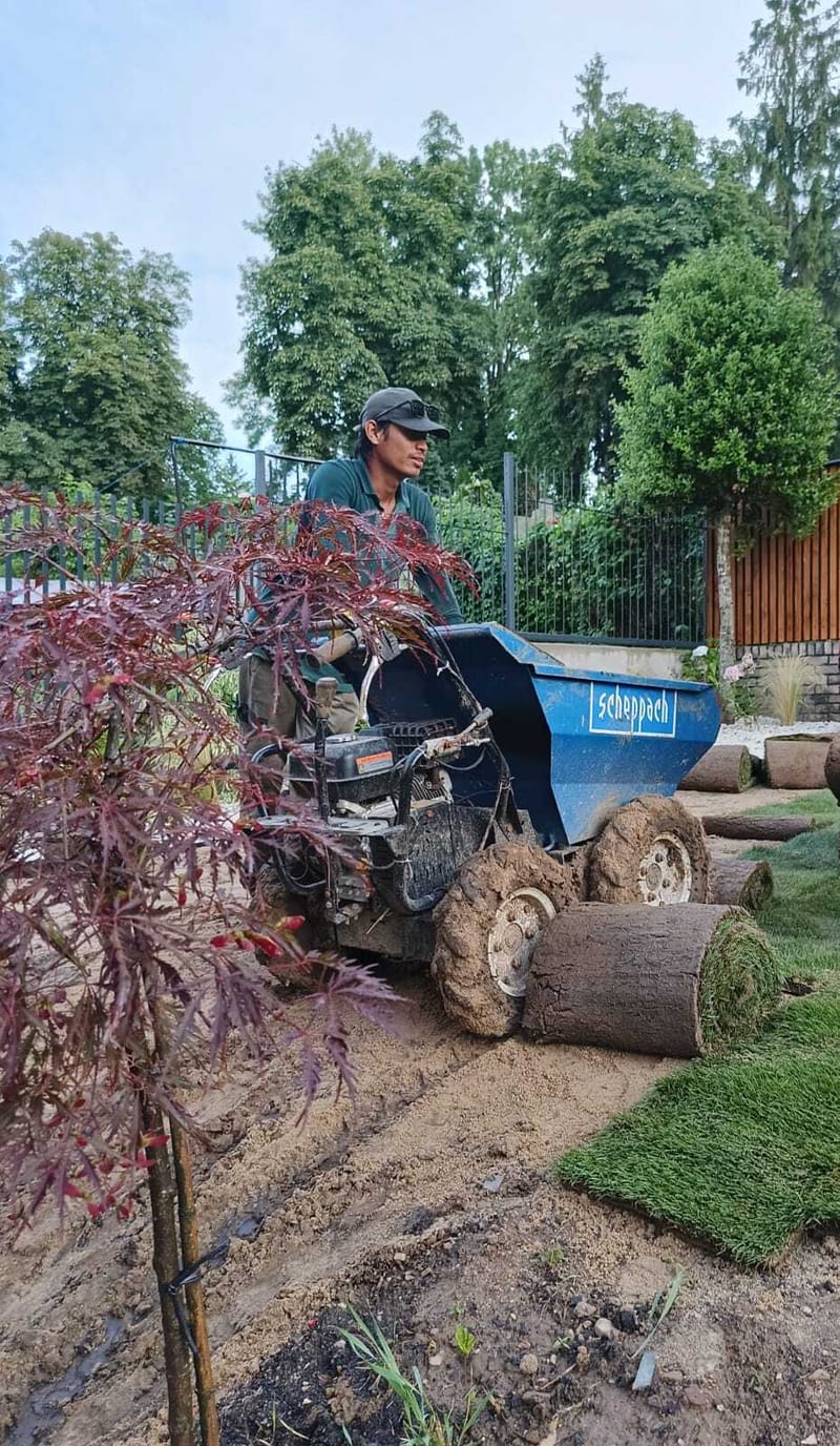 AMENAJARE SPAȚII VERZI