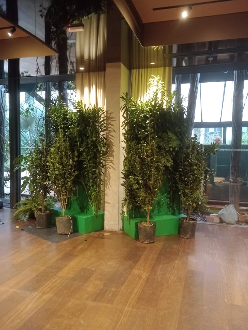 Cenografia Festa de lançamento