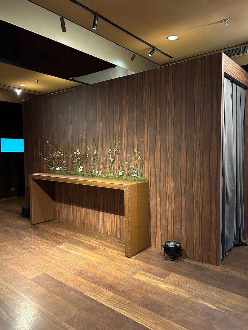 Cenografia Festa de lançamento