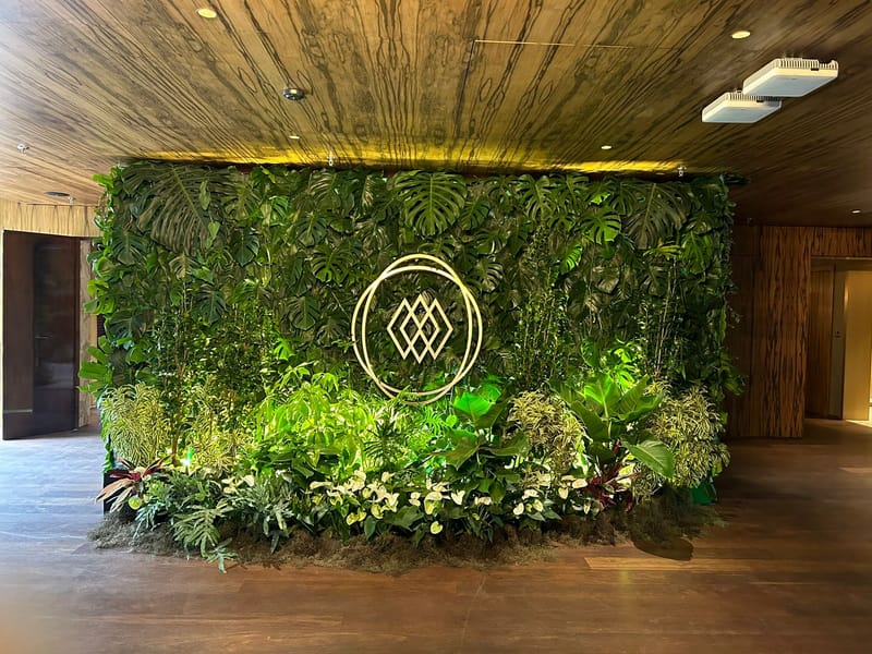 Cenografia Festa de lançamento