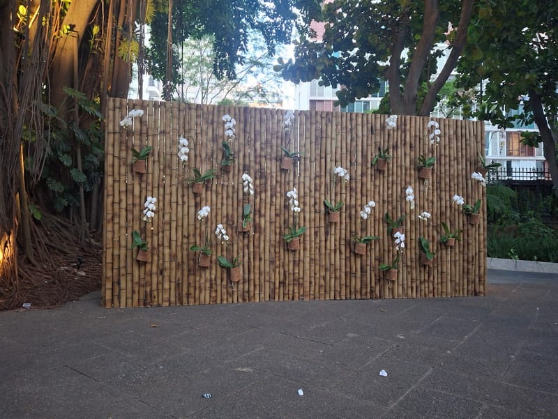 Desfile Maria Filó no Iate Clube de Santos SP