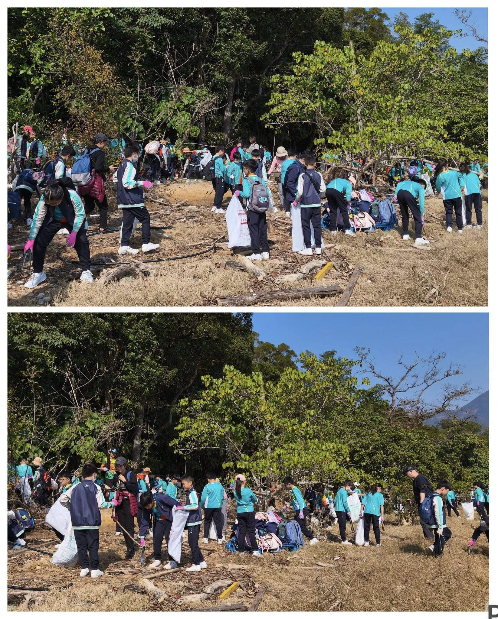 聖公會仁立紀念小學與清徑先鋒機構合作清徑活動(16/1/2026)