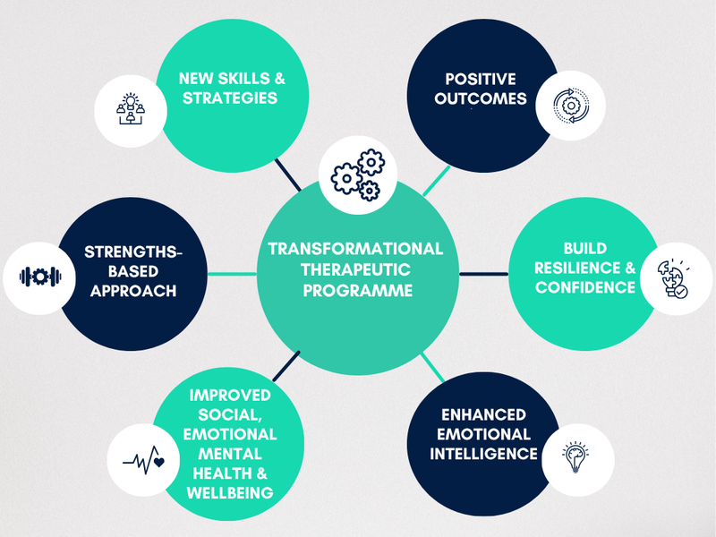 TRANSFORMATIONAL THERAPEUTIC PROGRAMME