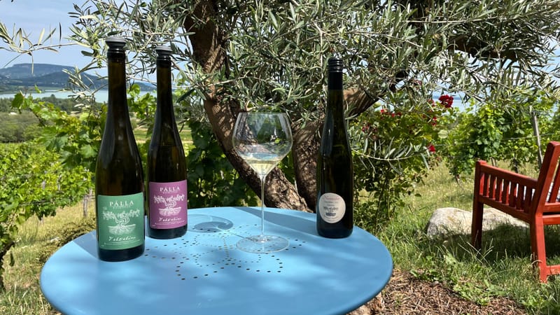 BOROK (száraz és félszáraz fehér borok)