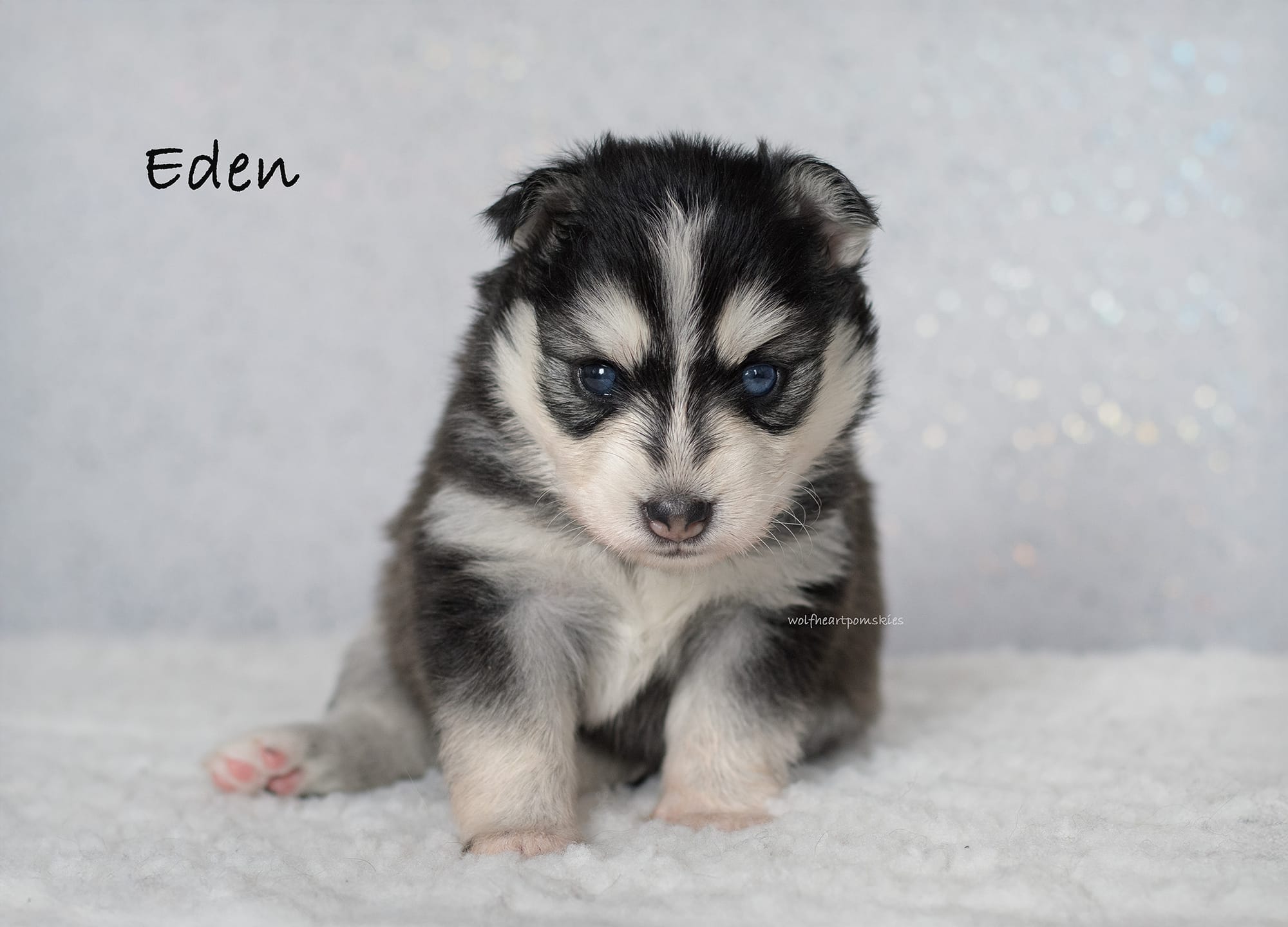 Eden