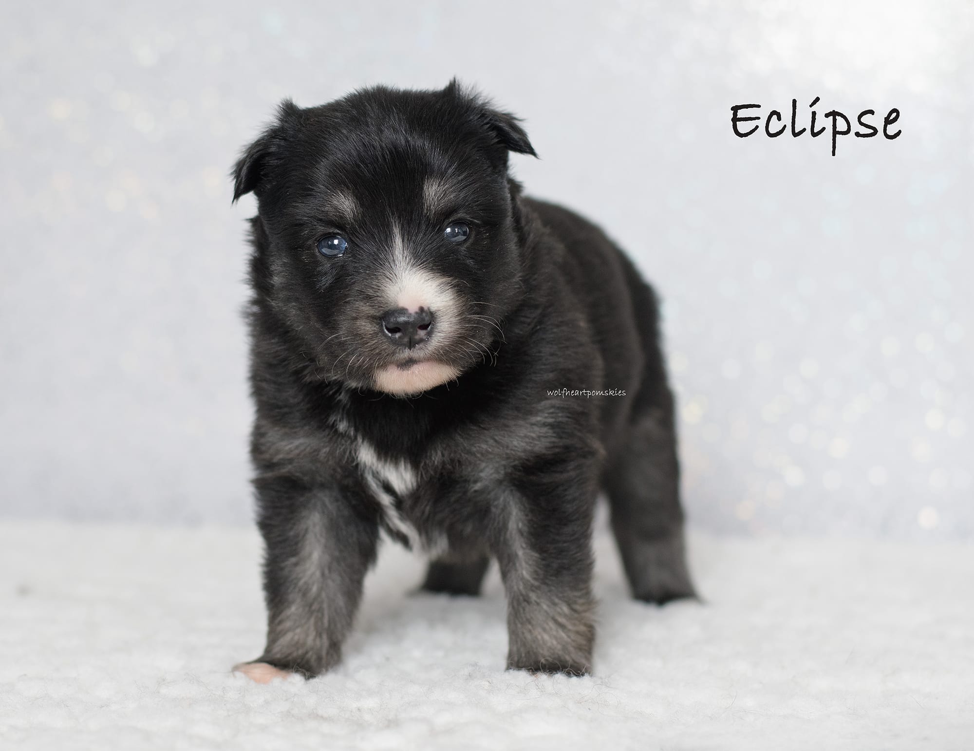 Eclipse