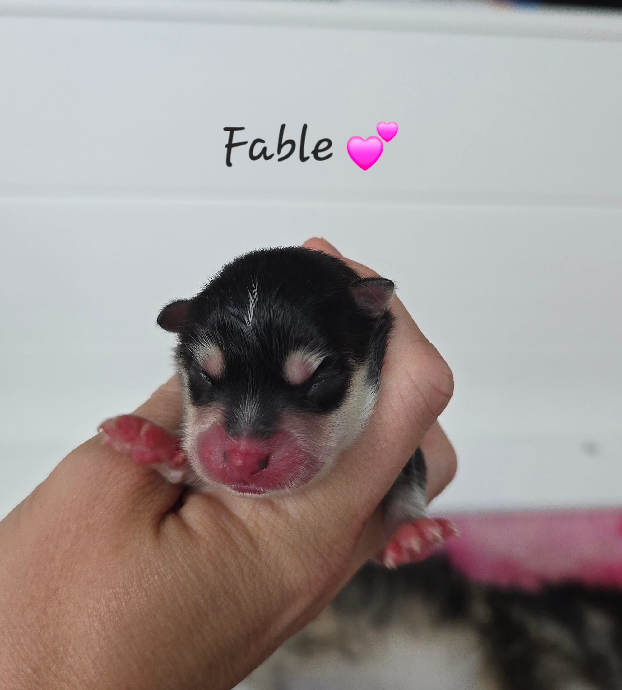 Fable