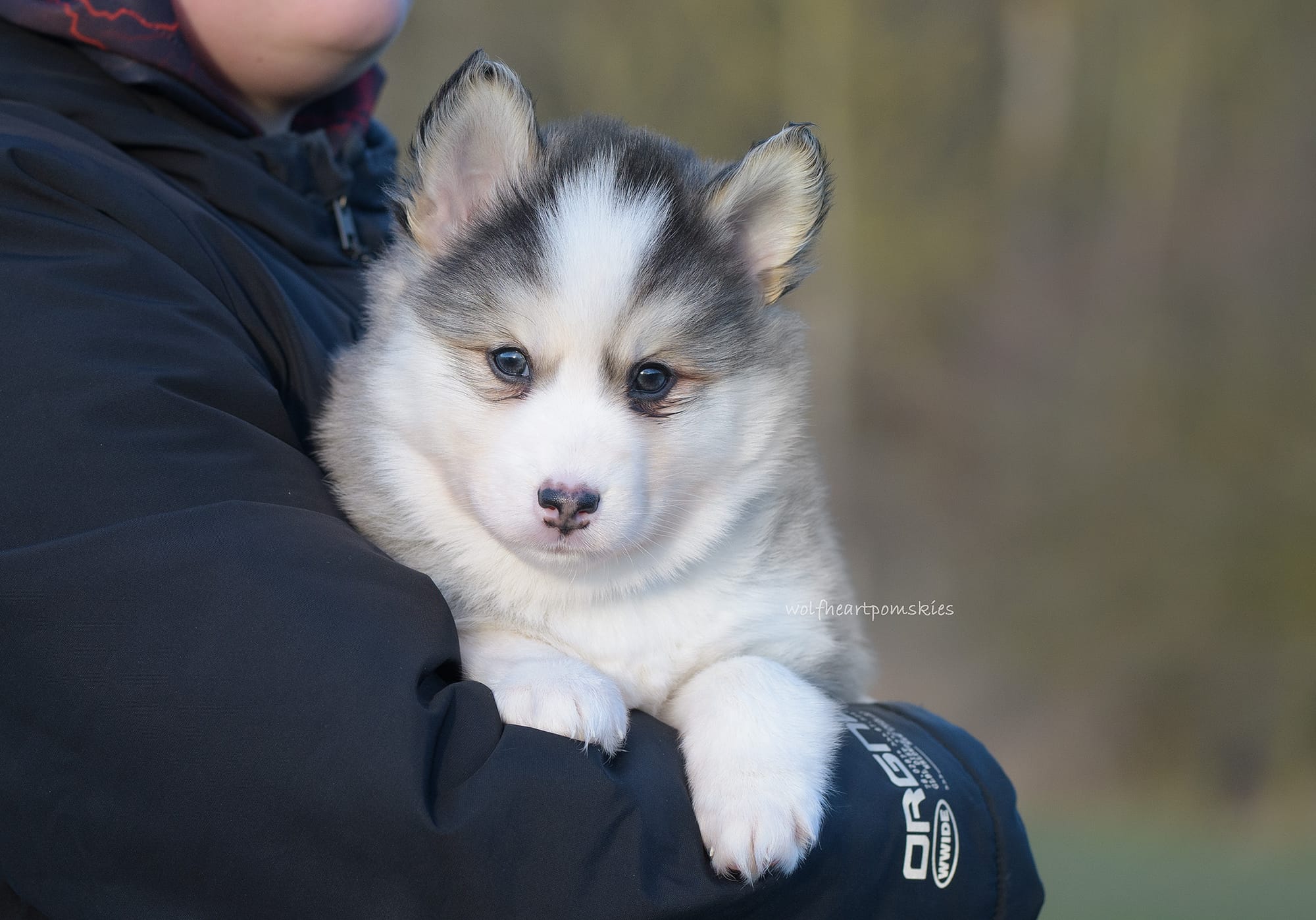 Grover- WAITLIST PENDING