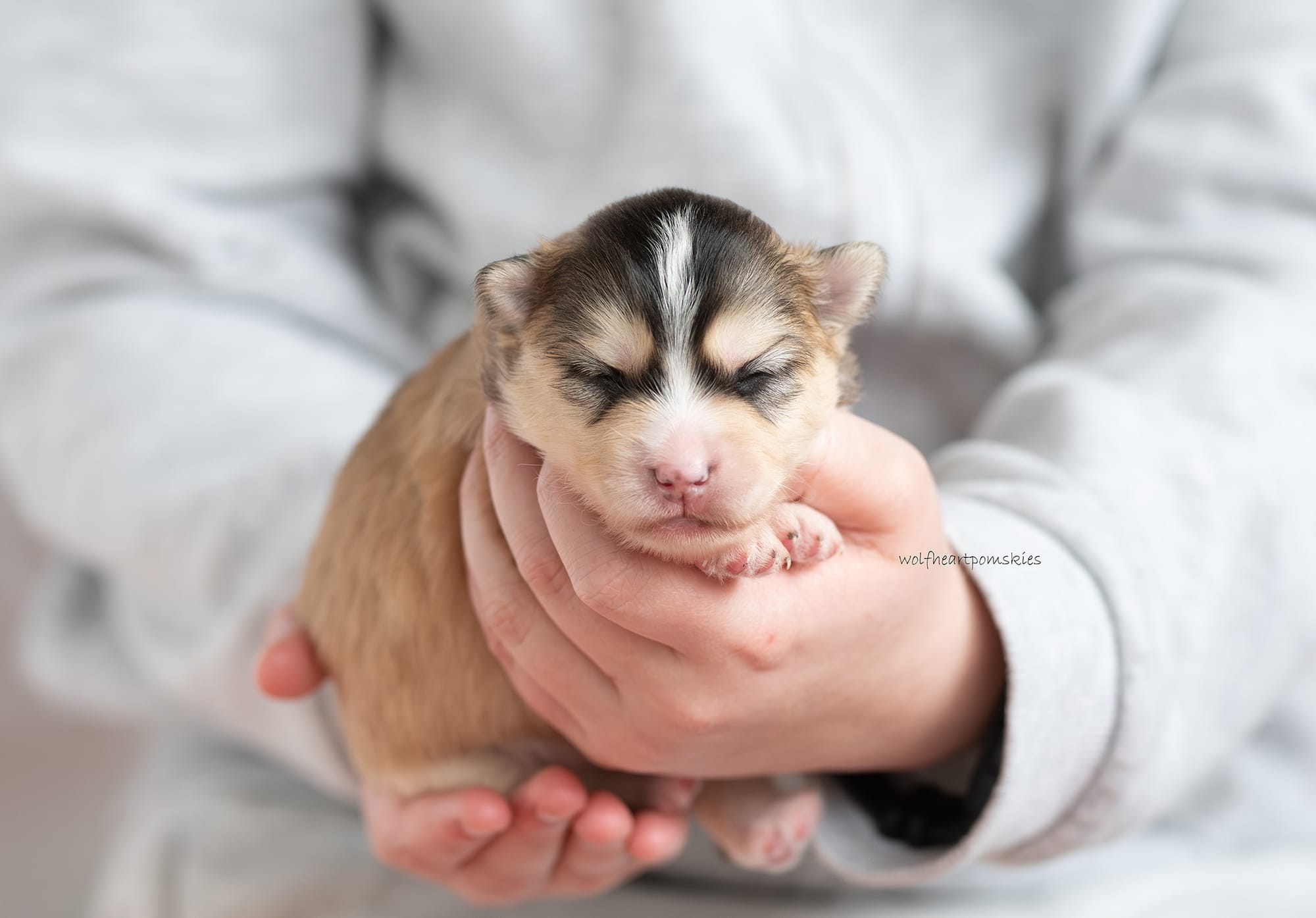 Helix- Waitlist Pending (highly likely to be chosen/matched)