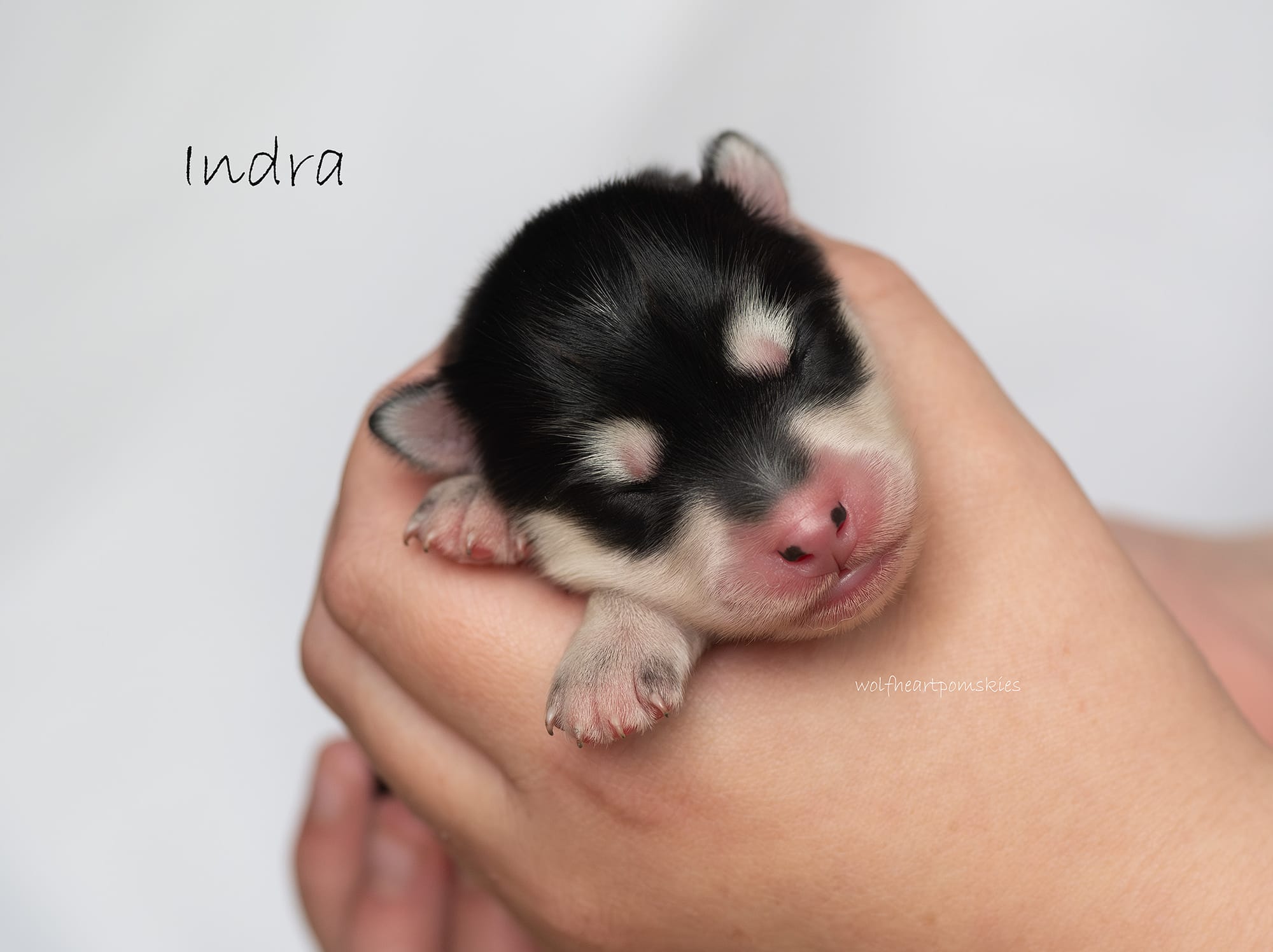 Indra