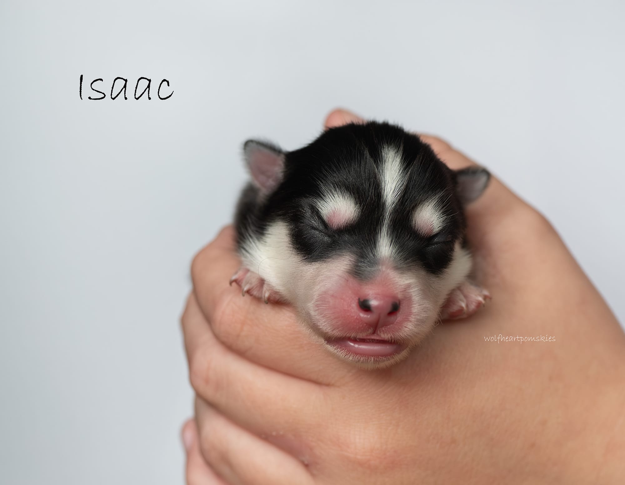 Isaac