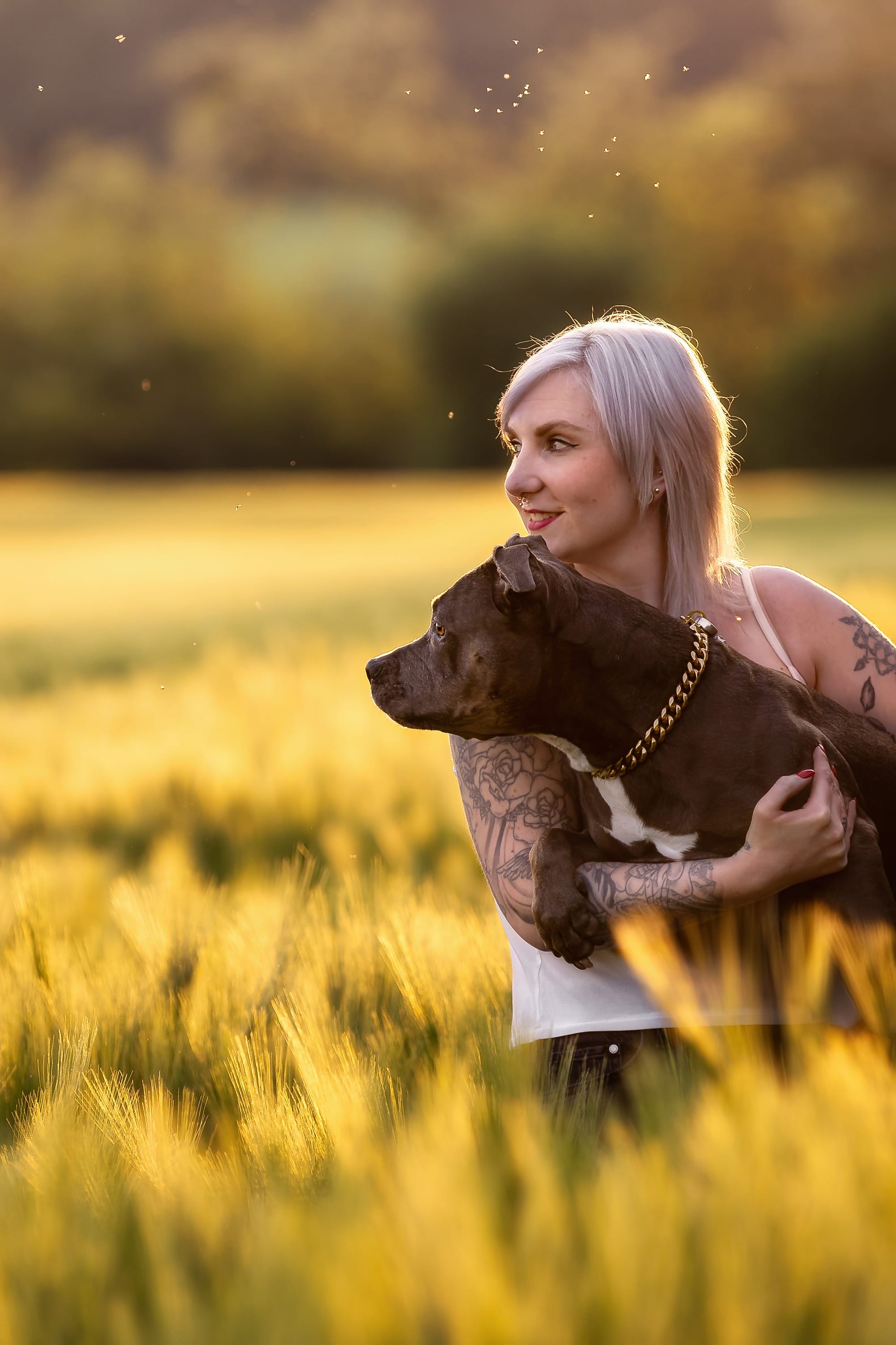 Foto-Shooting zur goldenen Stunde