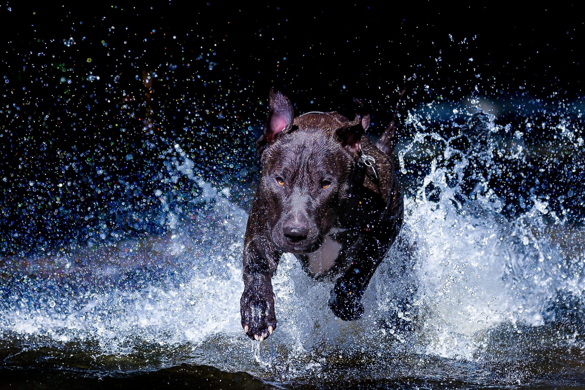 Wasser-Action-Fotoshooting