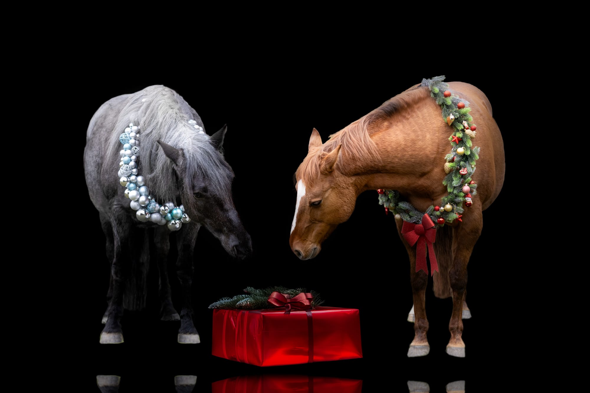 Weihnachtsshooting mit Weihnachtskranz