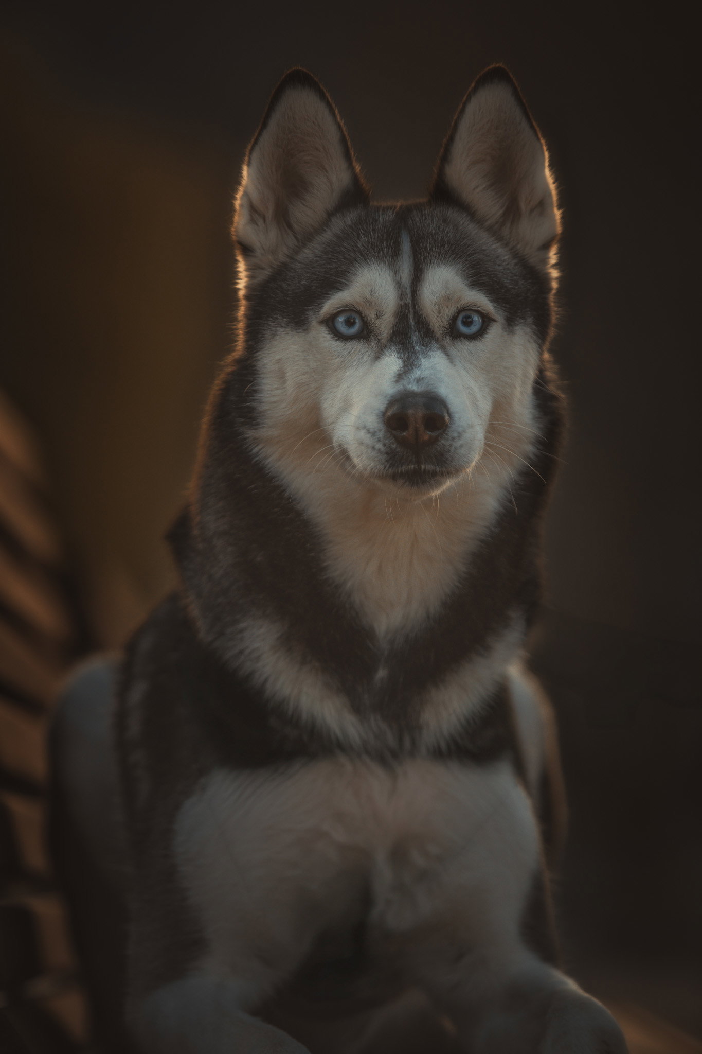 Portraits