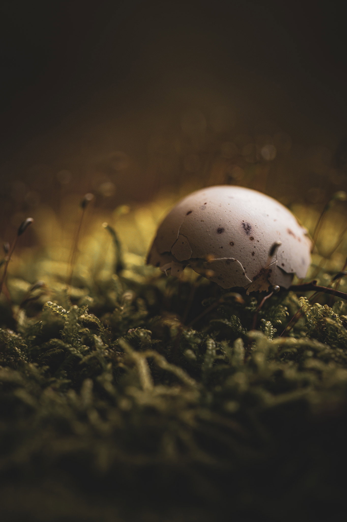 Öffne die Augen um die Wunder der Natur zu sehen!