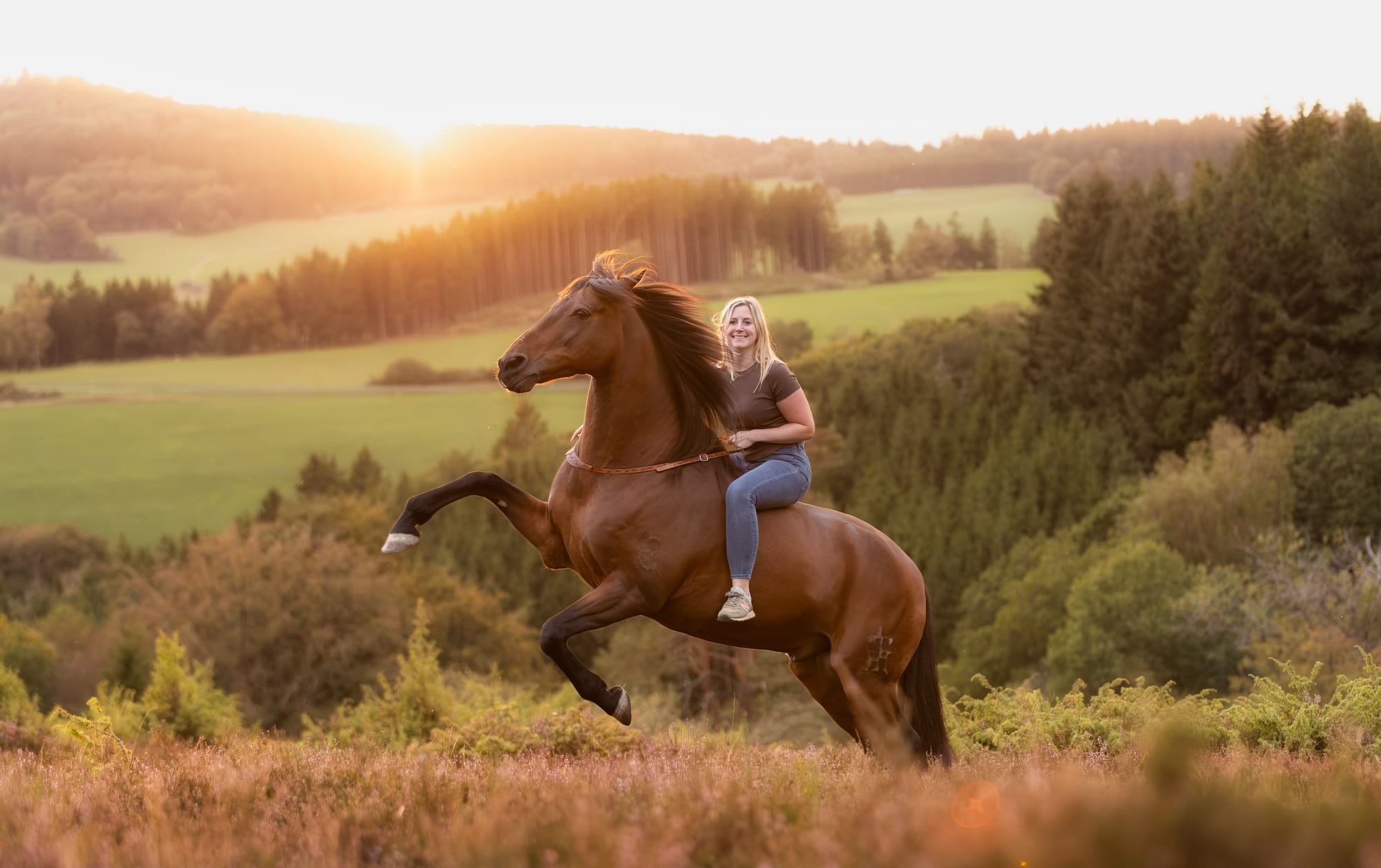 Pferd & Mensch – eure Verbindung in Bildern