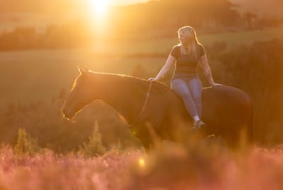 Wenn Licht zur Belohnung wird – Ein Abend in der Heide