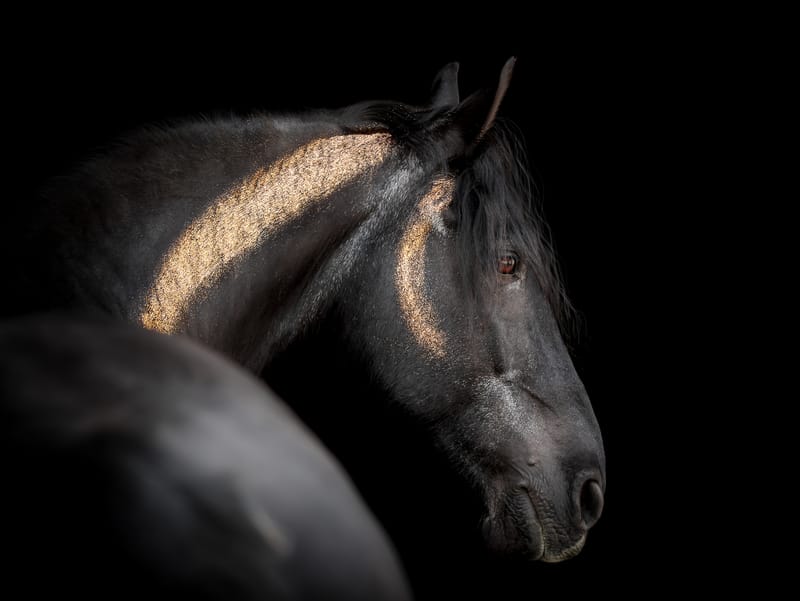 Kreative Shootings – Kunst, Ausdruck und besondere Momente