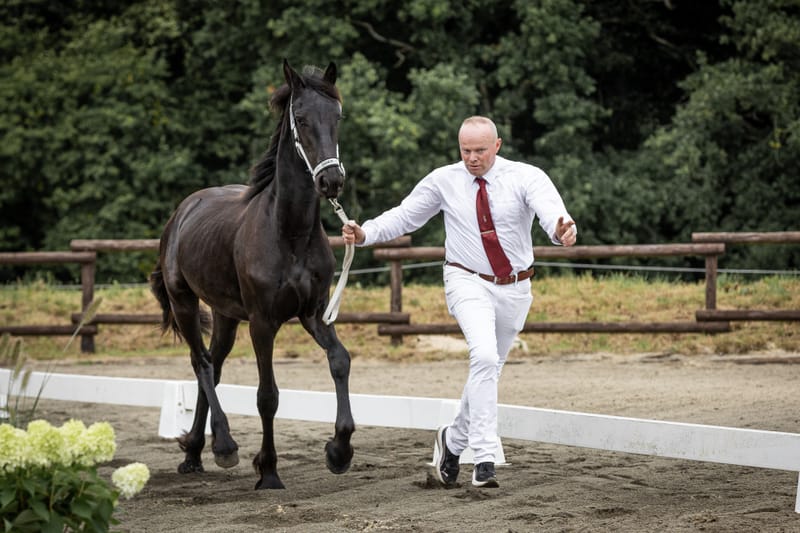 Veranstaltungsfotografie – professionelle Begleitung für Ihr Event