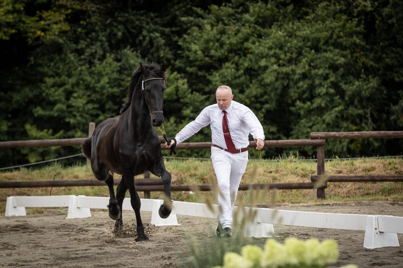 Veranstaltungsfotografie – professionelle Begleitung für Ihr Event