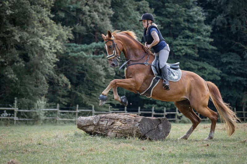 Veranstaltungsfotografie – professionelle Begleitung für Ihr Event