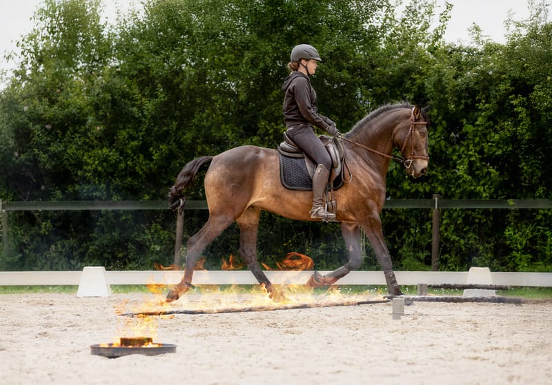 Veranstaltungsfotografie – professionelle Begleitung für Ihr Event