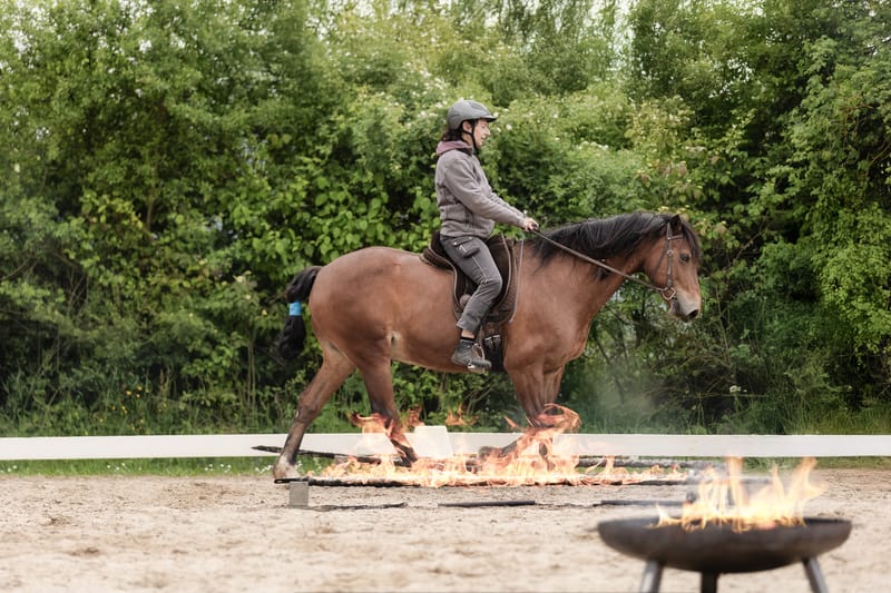 Veranstaltungsfotografie – professionelle Begleitung für Ihr Event