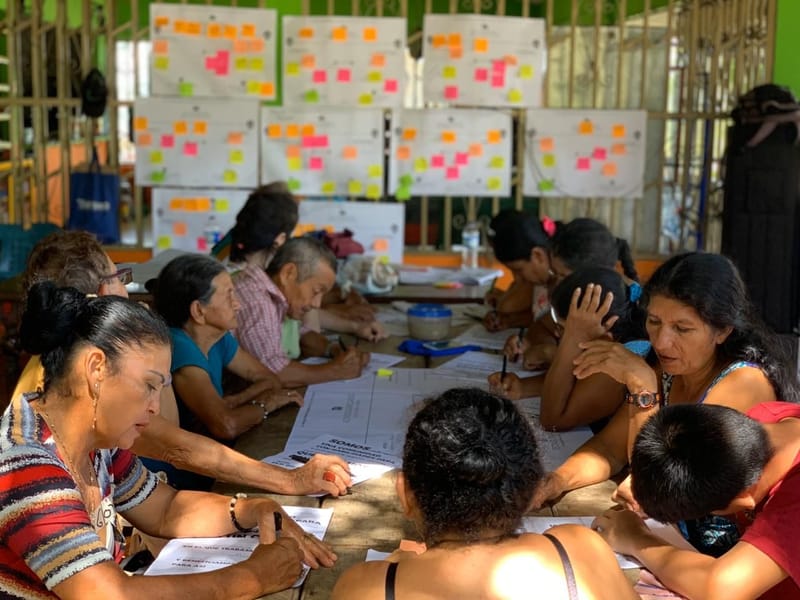'El campo que soñamos las mujeres' [2020]
