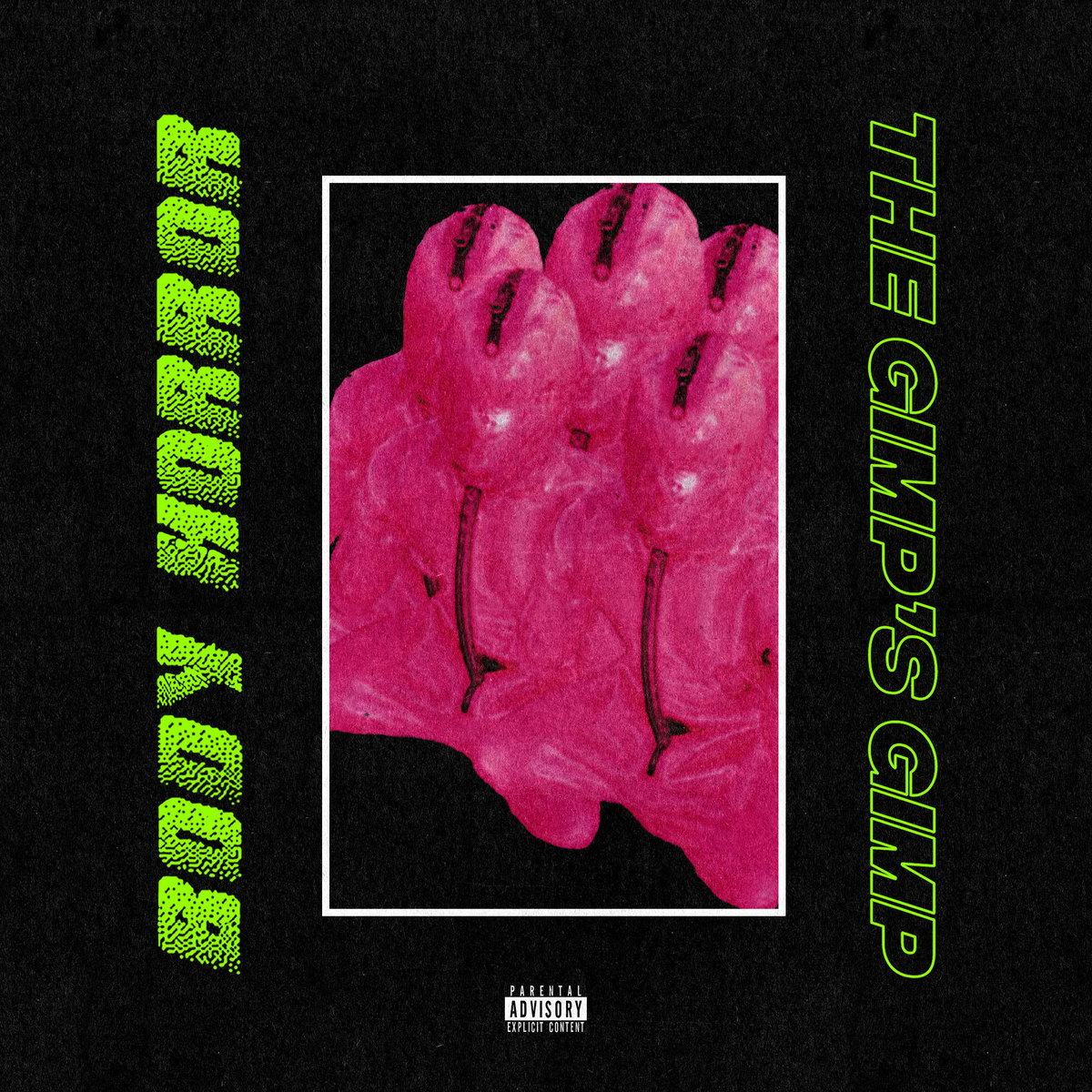 Body Horror - THE GIMP'S GIMP - Hideous Mink Records - Recording, Mix Engineer, Production - LISTEN►