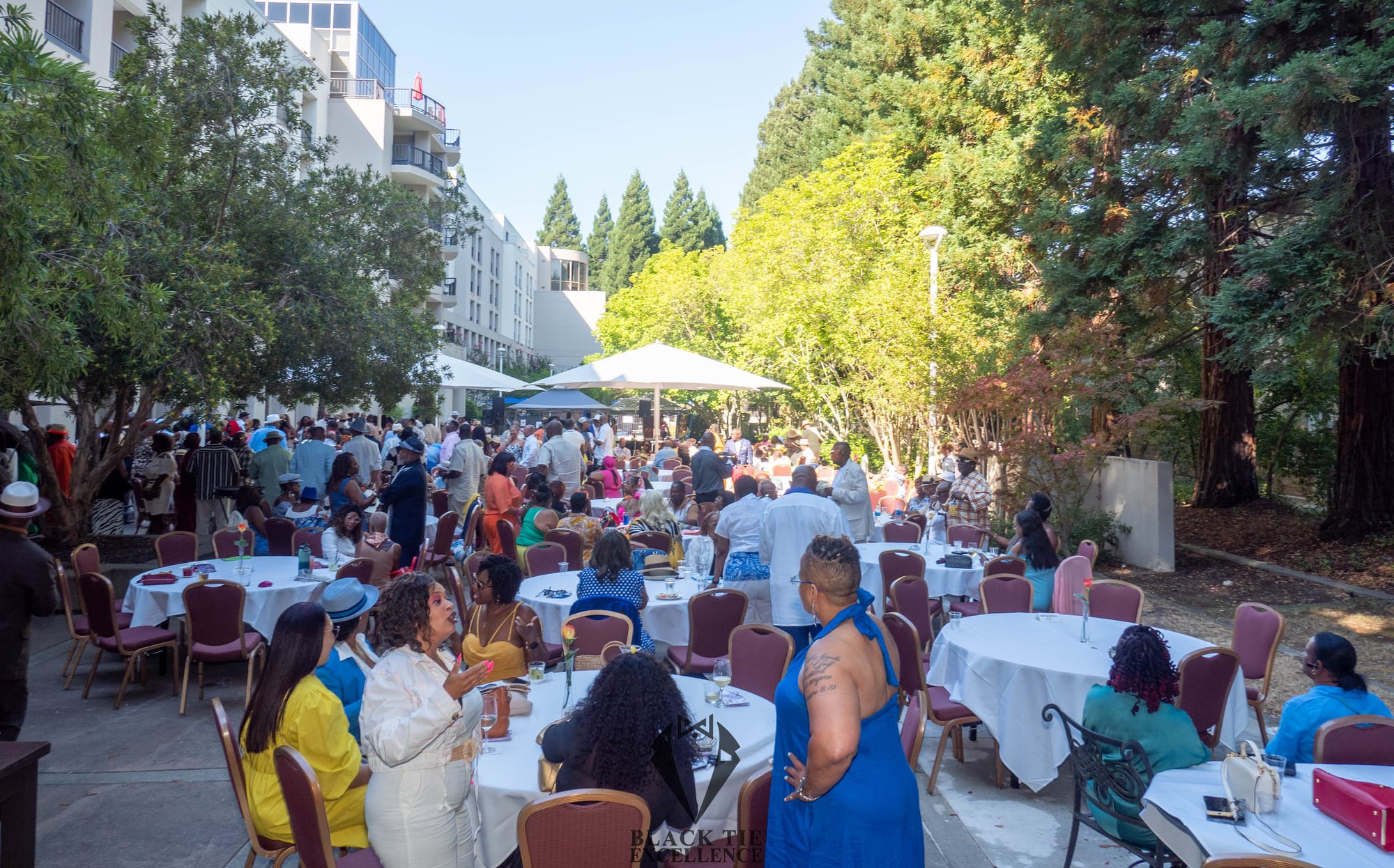 Choose Your Color Linen Party