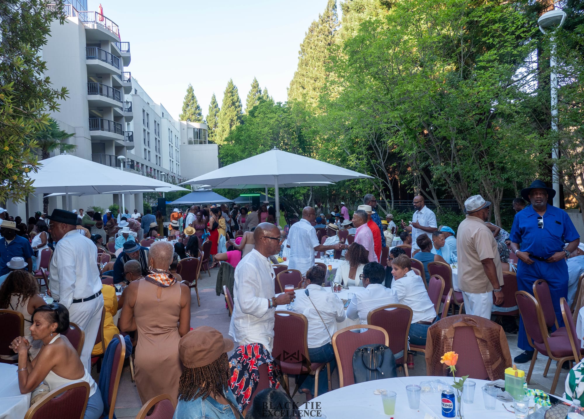 Choose Your Color Linen Party