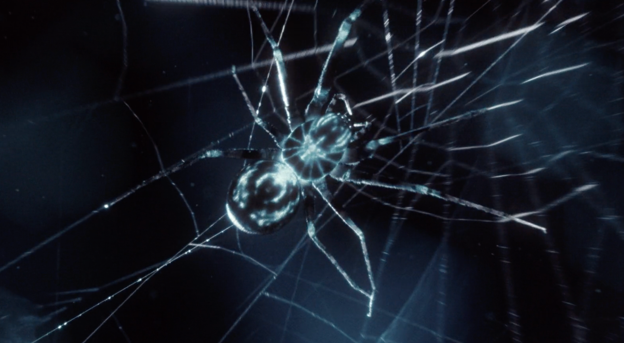 Cupra Spider - &Rosas