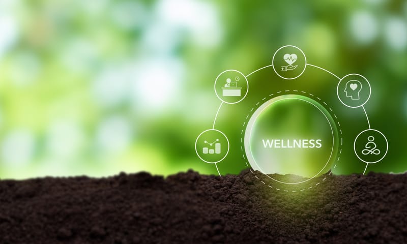 Wellness Pur - ChiroTrance Hypnose