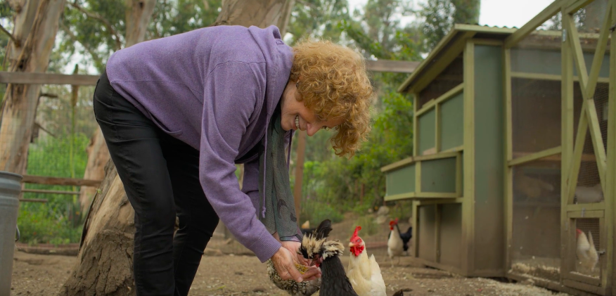 LAGUNA BEACH TOURISM - ACTIVIST