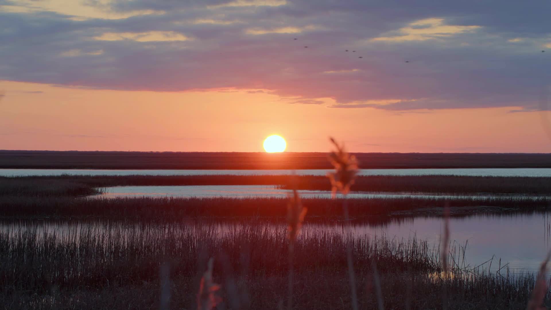 EASTERN SHORE VIRGINIA - SOCIAL