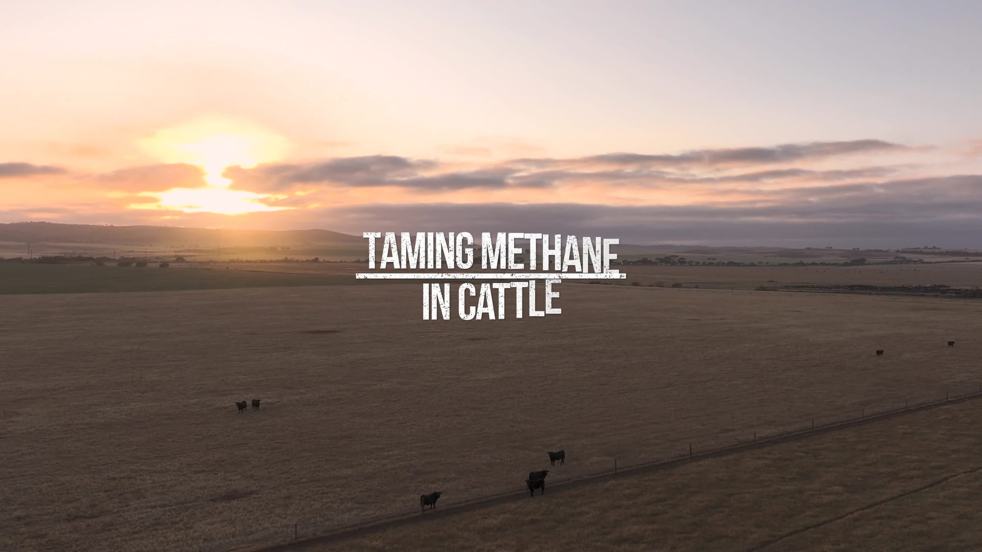 CH4 Global - Taming Methane