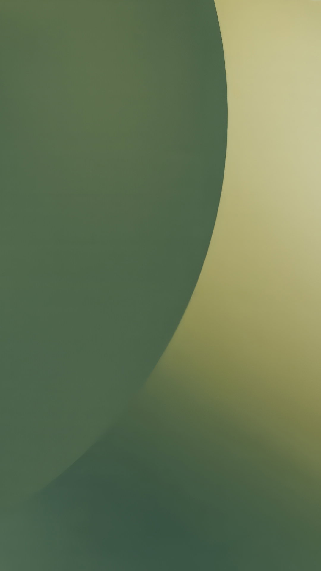 223