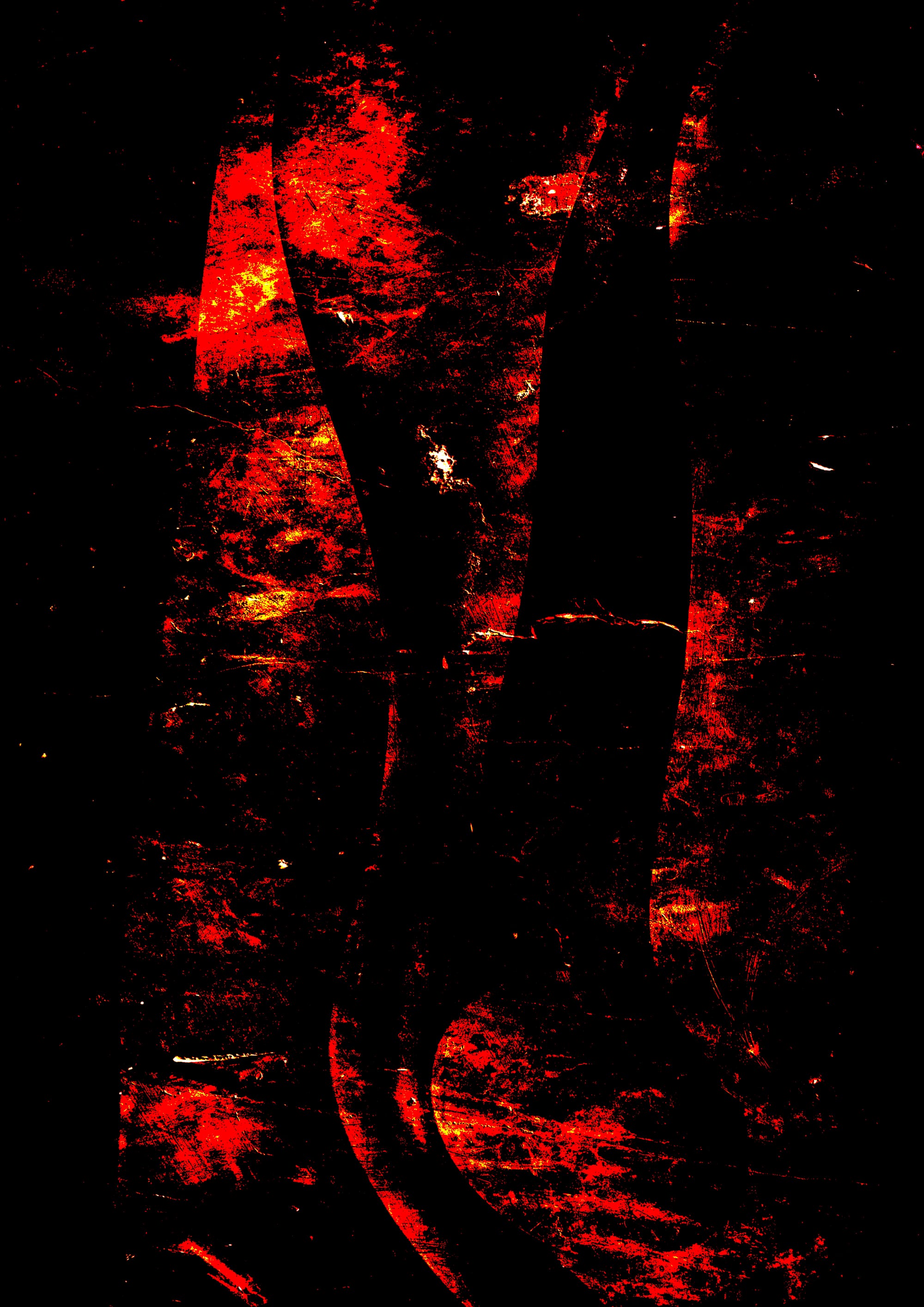 Night forest