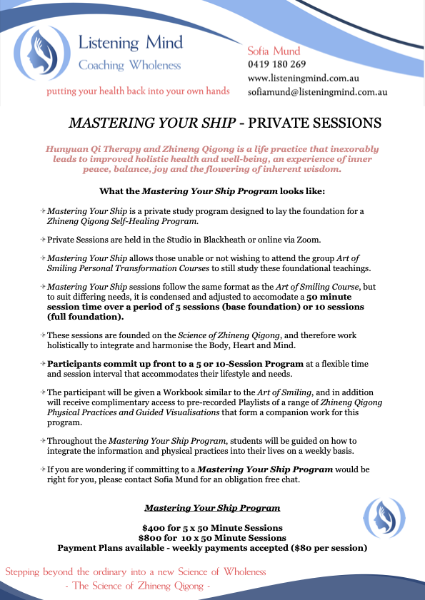 What is the Mastering Your Ship Program?