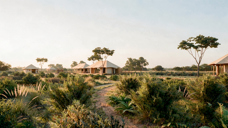 Bush Camp