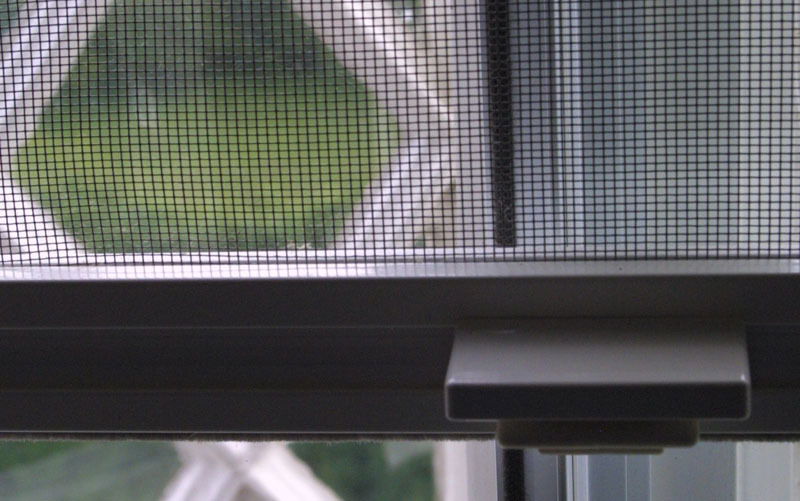 Insect Screens