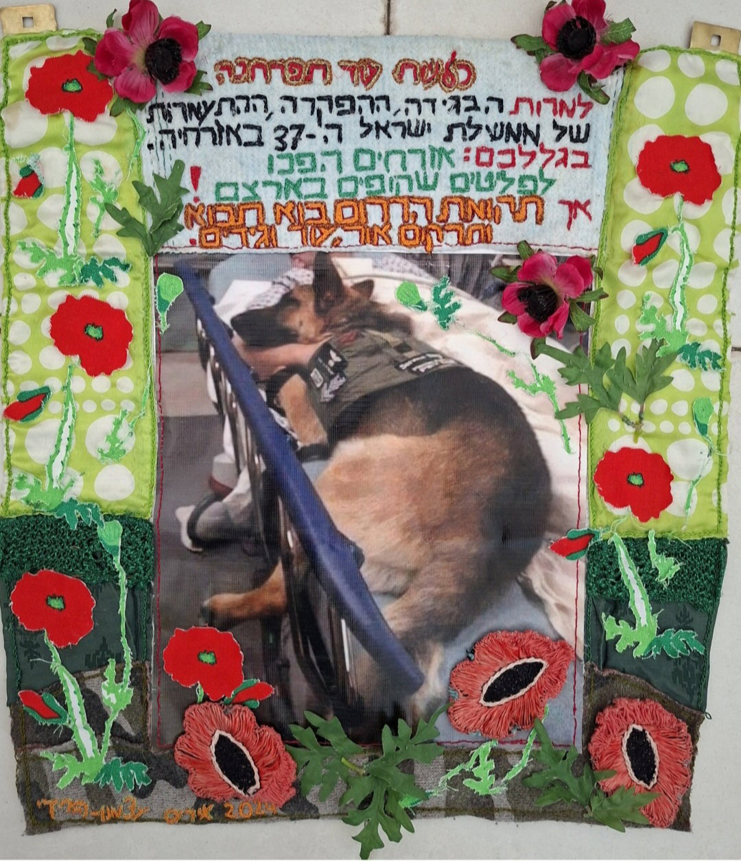 כלב מיחידת עוקץ שנפצע בקרבות בעזה.